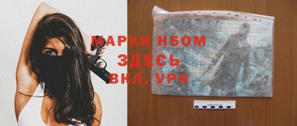 индика Нея