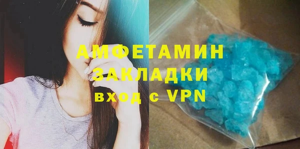 индика Нея