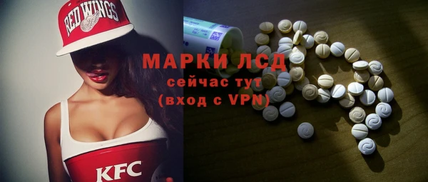 индика Нея