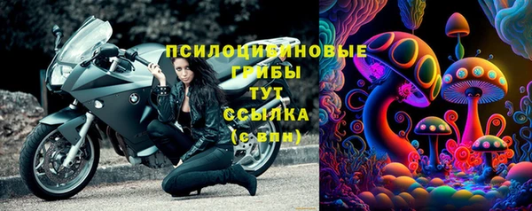 молекула духа Новозыбков