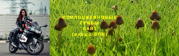 дмт Нефтегорск