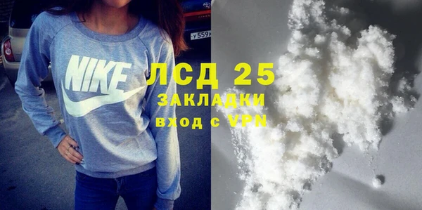 индика Нея
