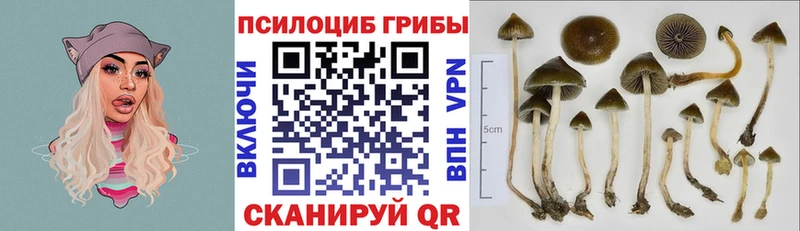Галлюциногенные грибы Psilocybine cubensis  Купить  Ханты-Мансийск 